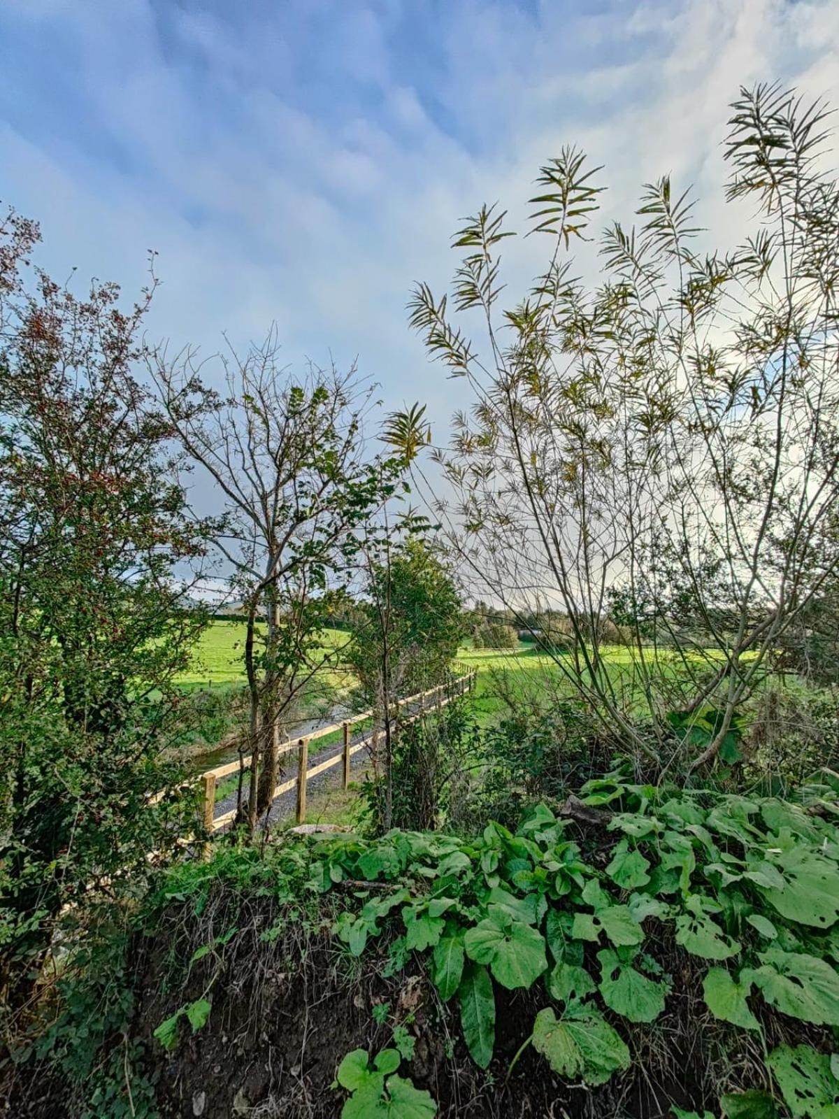 Riverside Cabin Limerick Junction 外观 照片